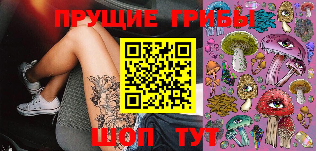 Псилоцибиновые грибы Psilocybe  Галлюциногенные грибы Psilocybe  Вход с VPN  Димитровград 
